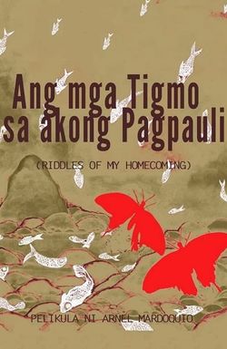 Ang mga tigmo sa akong pagpauli