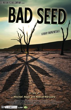 Bad Seed: A Tale of Mischief, Magic and Medical Marijuana