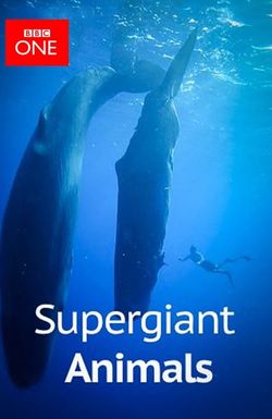 Supergiant Animals