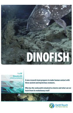 Dinofish