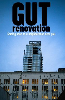 Gut Renovation
