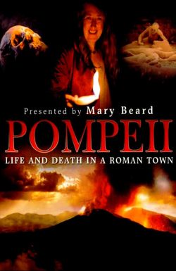 Pompeii: Life & Death in a Roman Town