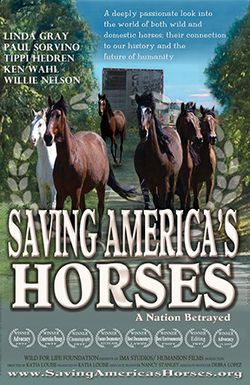 Saving America's Horses: A Nation Betrayed