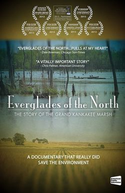 Everglades of the North