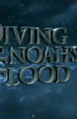 Diving Into Noah's Flood