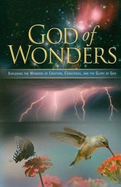 God of Wonders