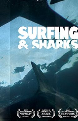 Surfing and Sharks