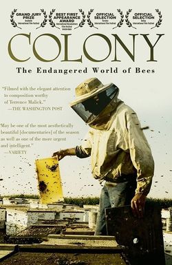 Colony