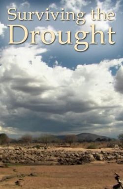 Les lionnes de la rivière de sable