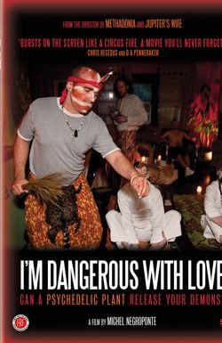 I'm Dangerous with Love