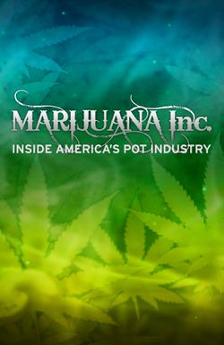 Marijuana Inc: Inside America's Pot Industry