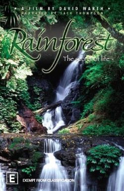 Rainforest: The Secret of Life