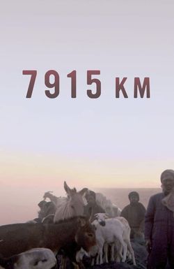 7915 Km