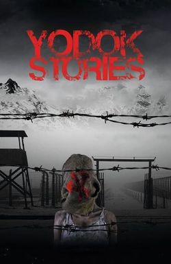 Yodok Stories
