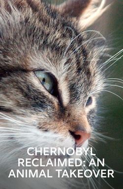 Chernobyl Reclaimed: An Animal Takeover