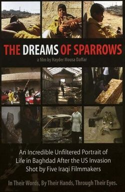 The Dreams of Sparrows