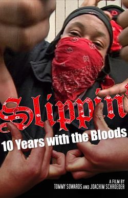 Slippin': Ten Years with the Bloods