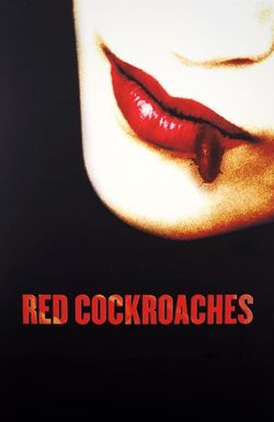 Red Cockroaches