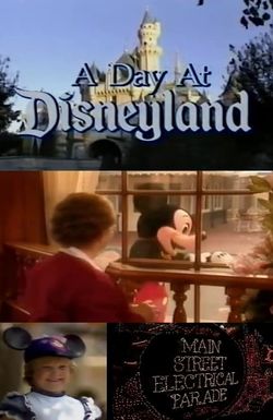 A Day at Disneyland