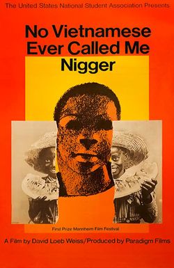 No Vietnamese Ever Called Me Nigger