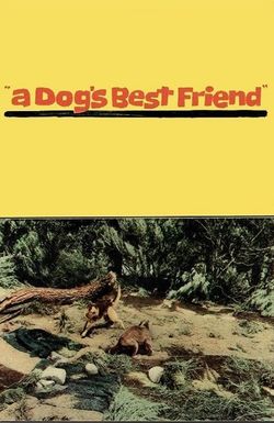 A Dog's Best Friend