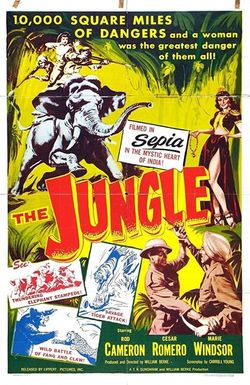 The Jungle