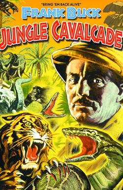 Jungle Cavalcade