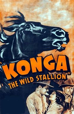 Konga, the Wild Stallion