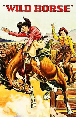 Wild Horse