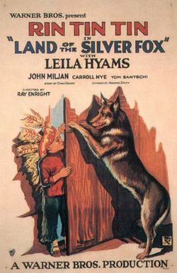 Land of the Silver Fox