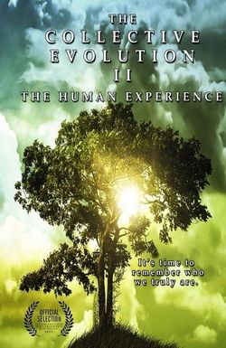 The Collective Evolution II: The Human Experience