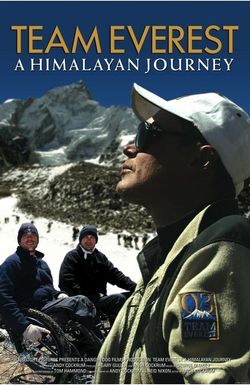 Team Everest: A Himalayan Journey