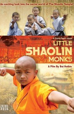 Little Shaolin Monks