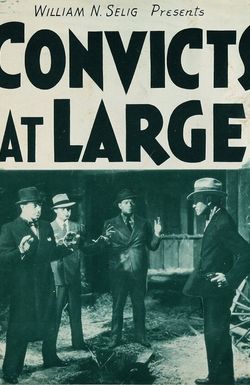 Convicts at Large