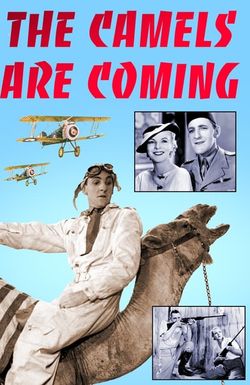 The Camels Are Coming