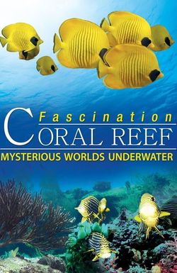 Fascination Coral Reef: Mysterious Worlds Underwater
