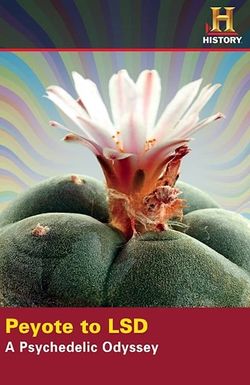 Peyote to LSD: A Psychedelic Odyssey