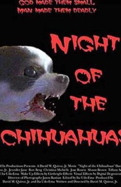 Night of the Chihuahuas