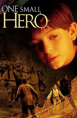 One Small Hero