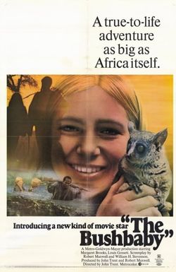 The Bushbaby
