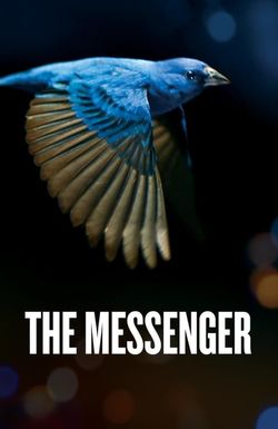 The Messenger