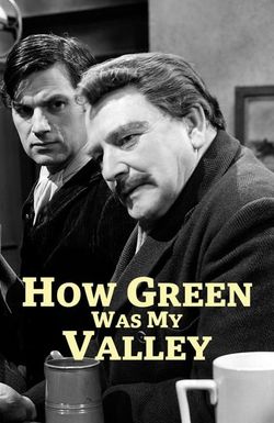 How Green Was My Valley