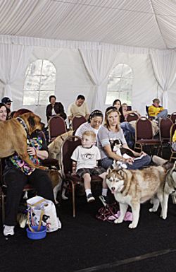 Greatest American Dog