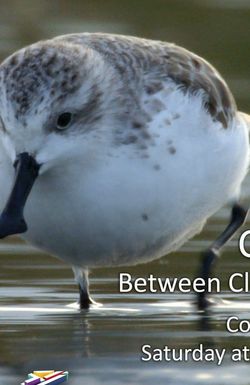 China: Between Clouds and Dreams