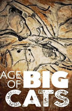 Age of Big Cats