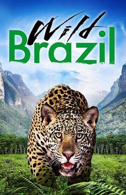 Wild Brazil