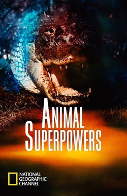 Animal Superpowers