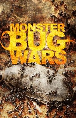 Monster Bug Wars!