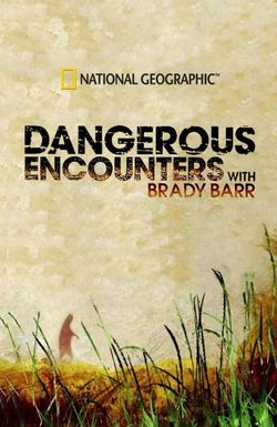 Dangerous Encounters