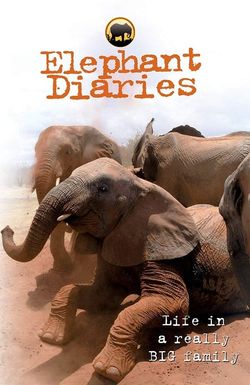 Elephant Diaries